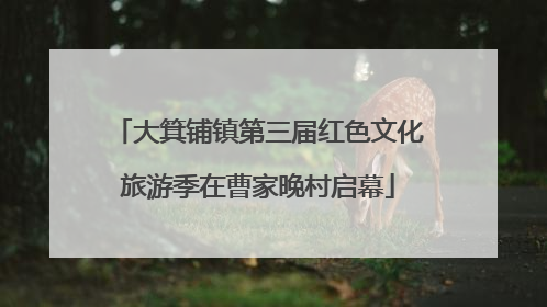 大箕铺镇第三届红色文化旅游季在曹家晚村启幕