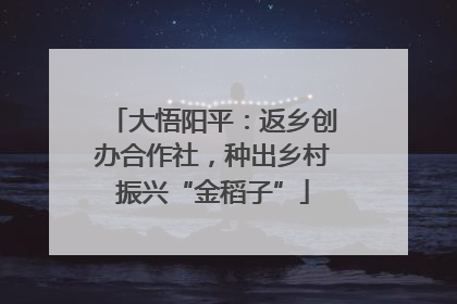 大悟阳平：返乡创办合作社，种出乡村振兴“金稻子”