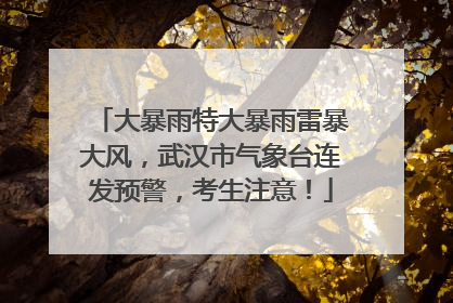大暴雨特大暴雨雷暴大风，武汉市气象台连发预警，考生注意！