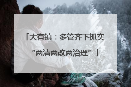 大有镇：多管齐下抓实“两清两改两治理”