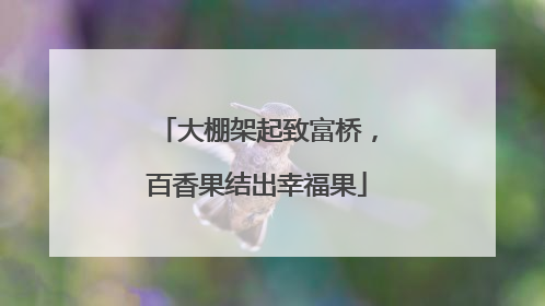 大棚架起致富桥，百香果结出幸福果