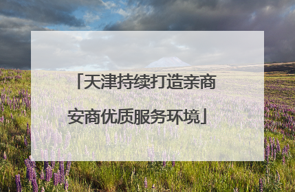 天津持续打造亲商安商优质服务环境