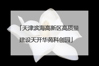 天津滨海高新区高质量建设天开华苑科创园