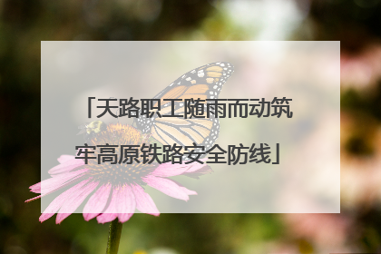 天路职工随雨而动筑牢高原铁路安全防线
