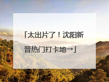 太出片了！沈阳新晋热门打卡地→