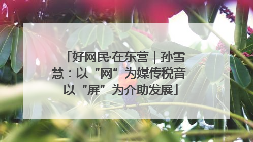 好网民·在东营｜孙雪慧：以“网”为媒传税音 以“屏”为介助发展