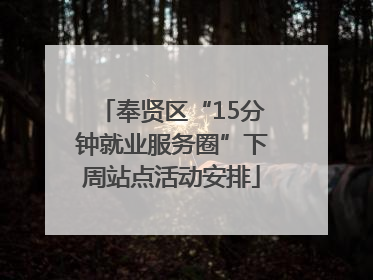 奉贤区“15分钟就业服务圈”下周站点活动安排
