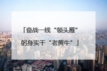 奋战一线“领头雁” 躬身实干“老黄牛”