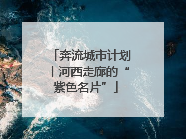 奔流城市计划丨河西走廊的“紫色名片”