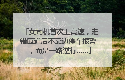 女司机首次上高速，走错匝道后不靠边停车报警，而是一路逆行……