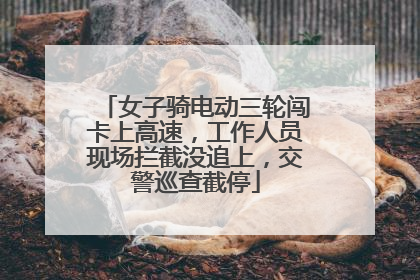 女子骑电动三轮闯卡上高速，工作人员现场拦截没追上，交警巡查截停