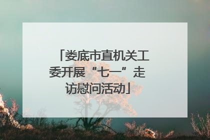 娄底市直机关工委开展“七一”走访慰问活动