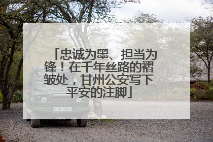 忠诚为墨、担当为锋！在千年丝路的褶皱处，甘州公安写下平安的注脚