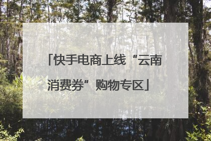 快手电商上线“云南消费券”购物专区