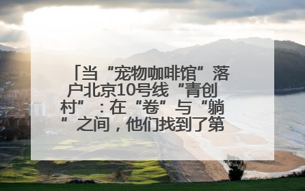 当“宠物咖啡馆”落户北京10号线“青创村”：在“卷”与“躺”之间，他们找到了第三种生活公式