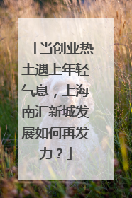 当创业热土遇上年轻气息，上海南汇新城发展如何再发力？