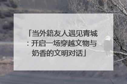 当外籍友人遇见青城：开启一场穿越文物与奶香的文明对话