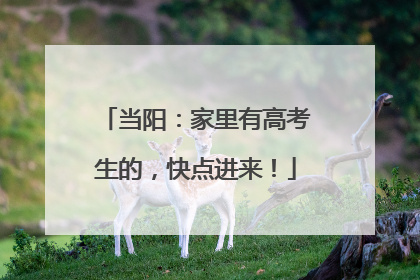 当阳：家里有高考生的，快点进来！