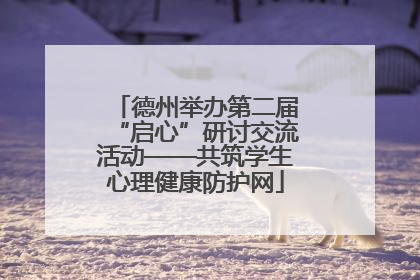 德州举办第二届“启心”研讨交流活动——共筑学生心理健康防护网