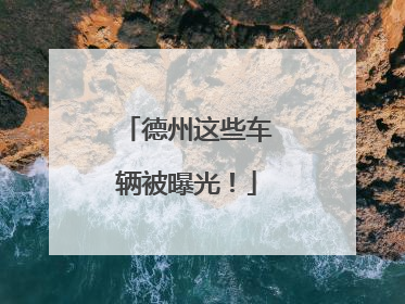 德州这些车辆被曝光！