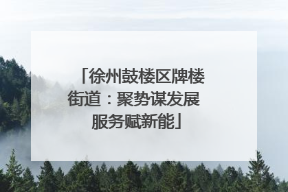 徐州鼓楼区牌楼街道：聚势谋发展 服务赋新能
