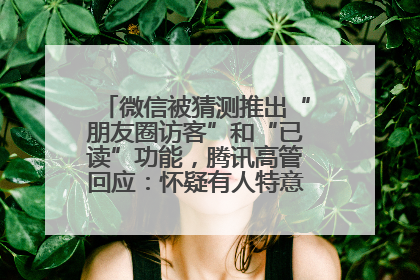 微信被猜测推出“朋友圈访客”和“已读”功能，腾讯高管回应：怀疑有人特意反复翻炒流量
