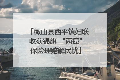 微山县西平镇妇联收获锦旗 “两癌”保险理赔解民忧