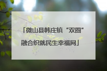 微山县韩庄镇“双圈”融合织就民生幸福网
