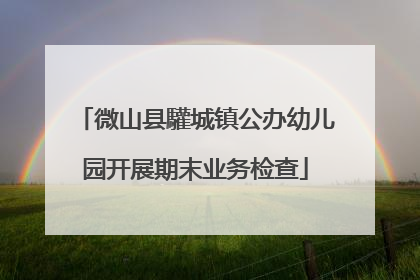 微山县驩城镇公办幼儿园开展期末业务检查