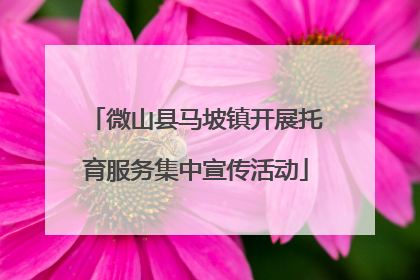 微山县马坡镇开展托育服务集中宣传活动