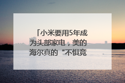 小米要用5年成为头部家电，美的海尔真的“不惧竞争”？｜热财经