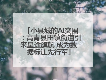 小县城的AI突围：高青县田镇街道引来星途旗航 成为数据标注先行军
