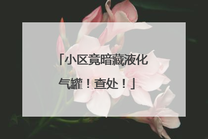 小区竟暗藏液化气罐！查处！