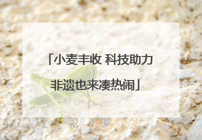 小麦丰收 科技助力 非遗也来凑热闹