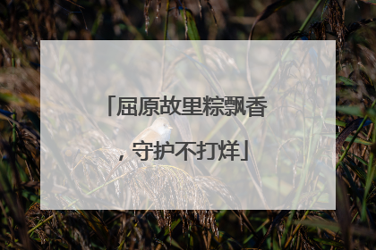 屈原故里粽飘香，守护不打烊