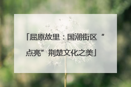 屈原故里：国潮街区“点亮”荆楚文化之美
