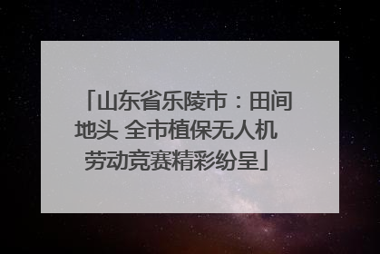 山东省乐陵市：田间地头 全市植保无人机劳动竞赛精彩纷呈