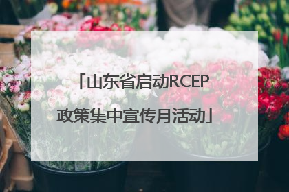 山东省启动RCEP政策集中宣传月活动