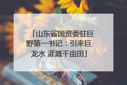 山东省国资委驻巨野第一书记：引来巨龙水 灌溉千亩田
