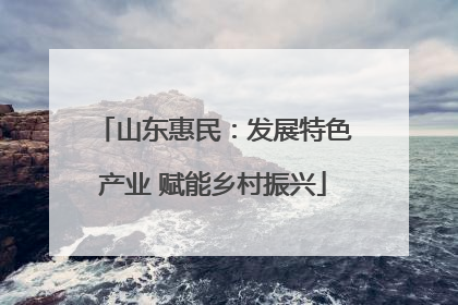 山东惠民：发展特色产业 赋能乡村振兴