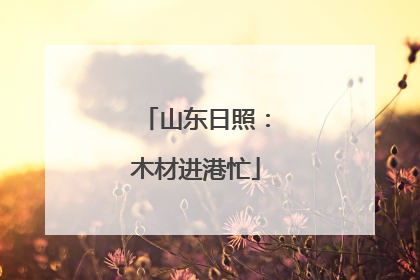 山东日照：木材进港忙
