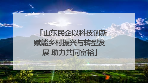山东民企以科技创新赋能乡村振兴与转型发展 助力共同富裕