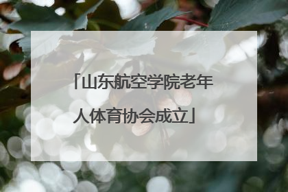 山东航空学院老年人体育协会成立