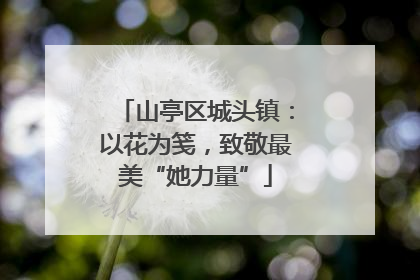 山亭区城头镇：以花为笺，致敬最美“她力量”