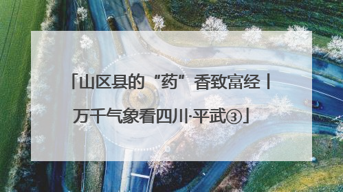 山区县的“药”香致富经丨万千气象看四川·平武③