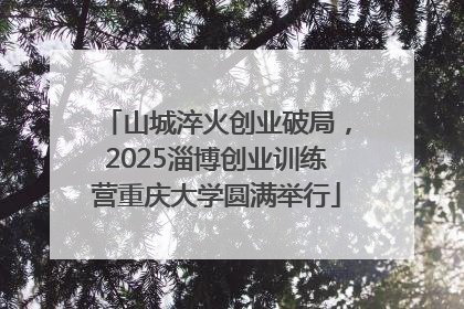 山城淬火创业破局，2025淄博创业训练营重庆大学圆满举行