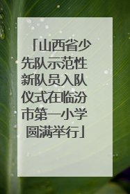 山西省少先队示范性新队员入队仪式在临汾市第一小学圆满举行
