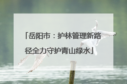 岳阳市：护林管理新路径全力守护青山绿水