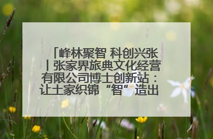 峰林聚智 科创兴张丨张家界旅典文化经营有限公司博士创新站：让土家织锦“智”造出非遗新传奇
