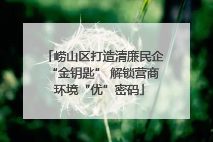 崂山区打造清廉民企“金钥匙” 解锁营商环境“优”密码